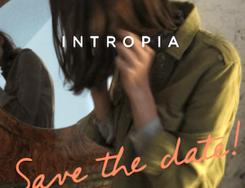 Último Rastrillo de Intropia en Madrid mayo 2019